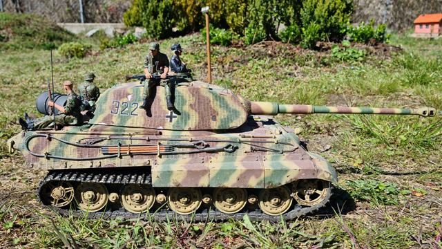 Königstiger