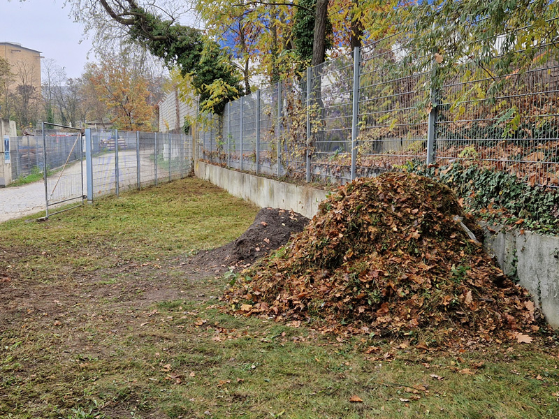 Fahrlehrer und Fahrschueler